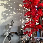 Modern 1 - Bedroom Studio In Zamalek Visits Allowed - Apartment 8B