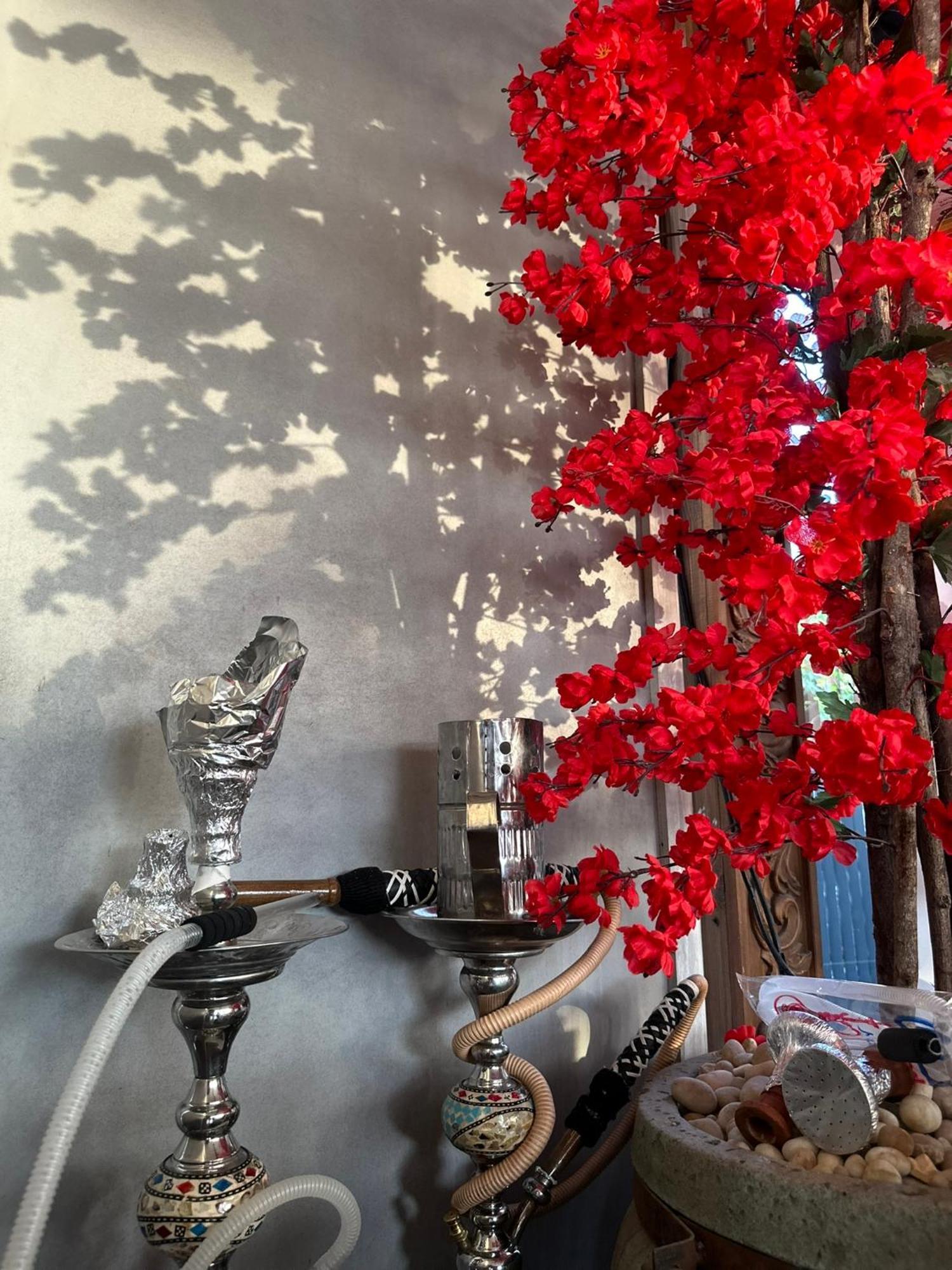 Modern 1 - Bedroom In Zamalek Visits Allowed - 8b Cairo